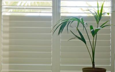 We Provide Made To Measure Shutter Blinds – At Cheap Price